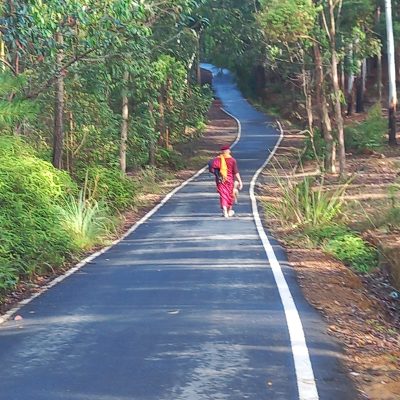 tracks for walking meditation