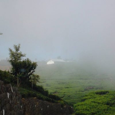 VIew from meditation centre